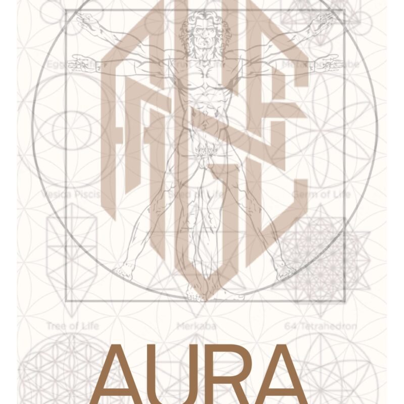 chakra and Aura ebook